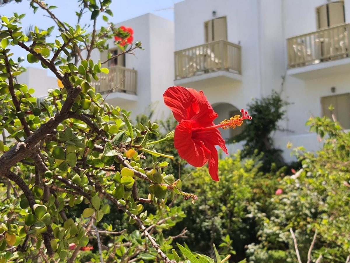 Vidalis Hotel Kionia Exterior foto